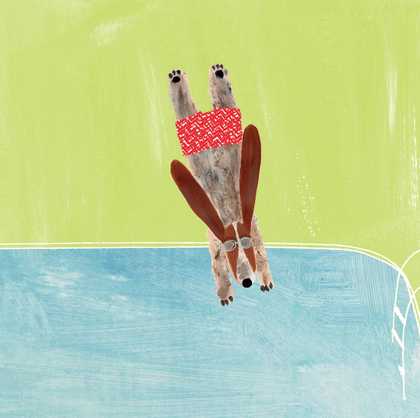 Drawing of a dog diving into water