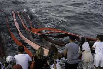 people stand on a ship overlooking pink and red fabric strip dragging in the ocean