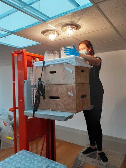 An individual standing on a platform with their gloved hands placed on two glass lamps, underneath two lit bulbs that are attached to the ceiling above