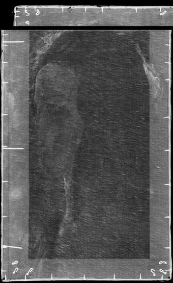 X-radiograph image of fig.9 clearly showing the construction of the stretcher around the perimeter
