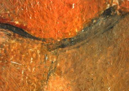 Two images showing very close detail of different parts of the nose showing the dark outlines and various tones of paint