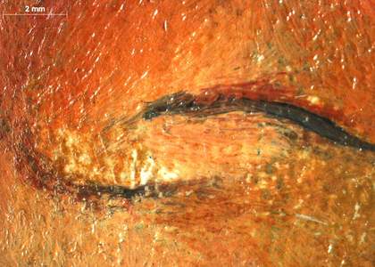 Two images showing very close detail of different parts of the nose showing the dark outlines and various tones of paint