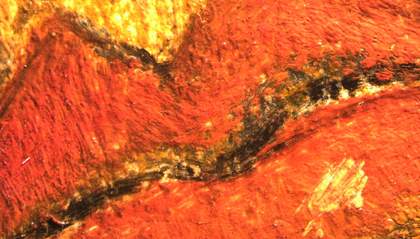 Very close detail of the lips showing orange-red colour, dark outlines and a dab of highlighting white on the lower lip