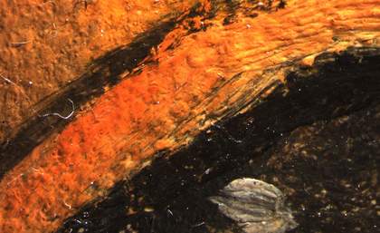 Fig.17a is a detail of the eyes; b and c are very close up (photomicrographs) of small areas of each eye, showing the dark iris, dark outline and dab of highlighting white