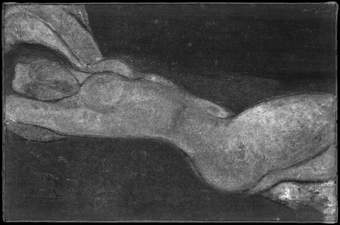 X-radiograph image of fig.5 showing the bristle brush application as well as the polished areas of the breast, the buttocks and the thigh
