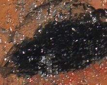 Three details showing the eyes as pools of black and a hint of eyelashes, made with flicks of the brush using the wet black paint from the edges of the eye