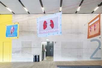 Brightly coloured pieces of material featuring images of bodily organs and written text hang high up in a gallery space