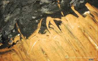High-resolution photomicrograph shows where an area of dark and lighter paints meet and blend.