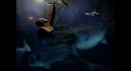 a film still showing a man under the sea with sharks and fish around him