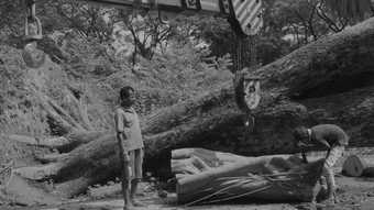 A black-and-white film still in which two mean can be seen with sections of felled trees and industrial equipment.
