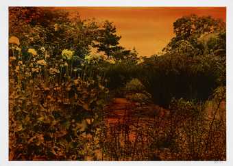 An orange and yellow toned image of a landscape