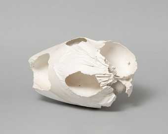 A white sculpture of a natural shape with holes and wrinkles almost like an egg shell or animal skull against a white background