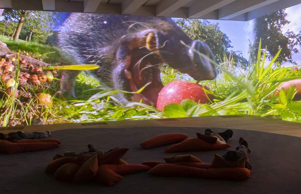 Performer and Participant – Display at Tate Modern | Tate