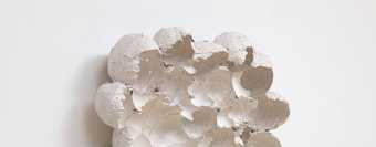close up of a white sculptural form that looks organic
