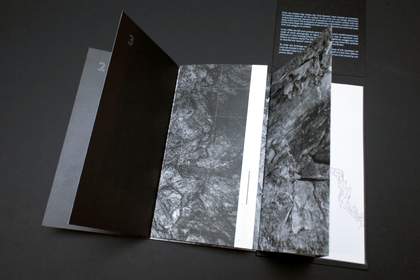Book by artist Tamsin Green