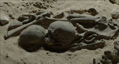 Skulls and bones covered in dust.