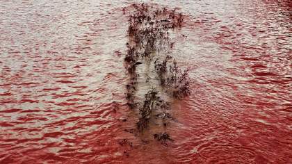 A red sea with a small are of parched looking land.