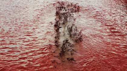 A red sea with a small are of parched looking land.
