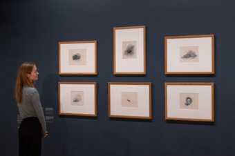 A visitor looking at a series of watercolours by JMW Turner
