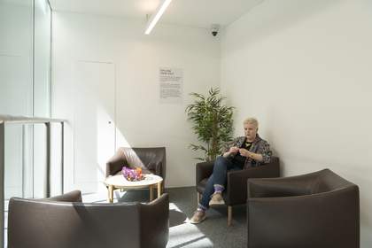 A person sitting in a room with white walls, a tall plant, and sunlight coming in.