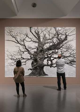 Two visitors look at an artwork which is a black and white image of a large tree