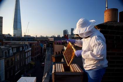 South London Bermondsey Bee keeper with sunset over london skyline