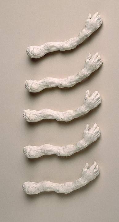 Frgments of sculpture, disembodied arms and hands made of plaster