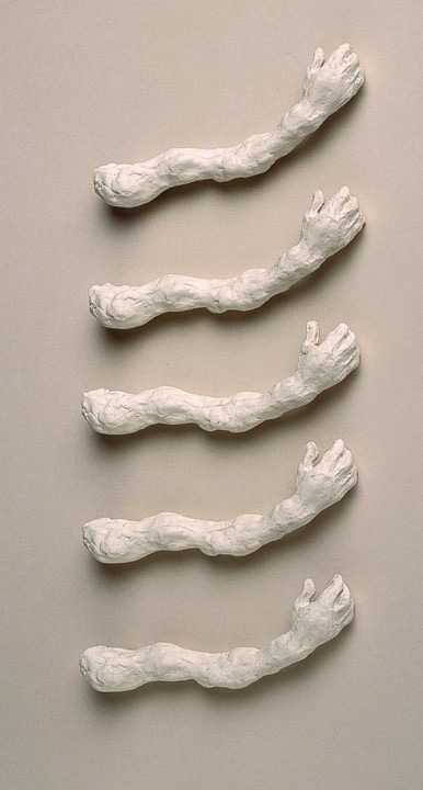Frgments of sculpture, disembodied arms and hands made of plaster