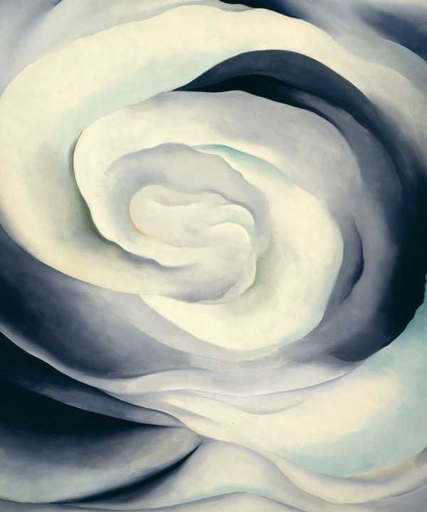 Who Is Georgia O Keeffe Tate Kids   Abstract Rose 1 6fFg58K.width 600 