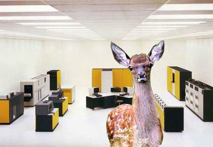 Adam Curtis All Watched Over By Machines of Loving Grace 2011