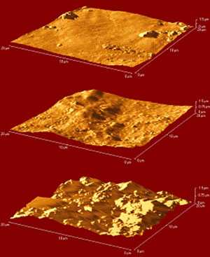 AFM images of Grumbacher titanium white paint: top: control; centre: water immersion; bottom: acetone immersion