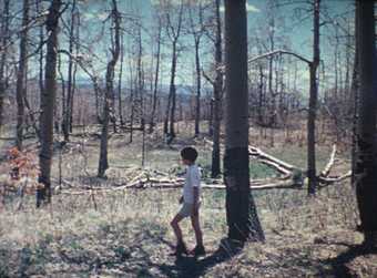 Agnes Martin Gabriel 1976, Film still