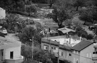 Ahlam Shibli, Untitled (The Valley no. 18), Arab al-Shibli, Palestine, 2007-8 