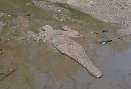 Ana Mendieta Untitled (Silueta Series) 1978 02