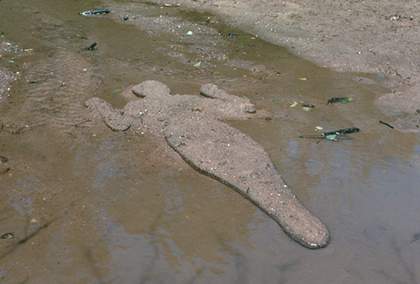 Ana Mendieta Untitled (Silueta Series) 1978 02
