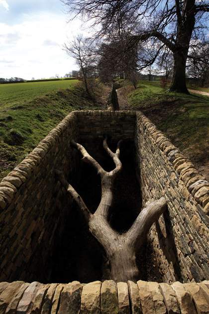 Andy Goldsworthy Hanging Trees