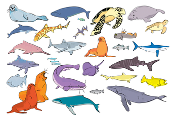 Illustration of sea-life creatures