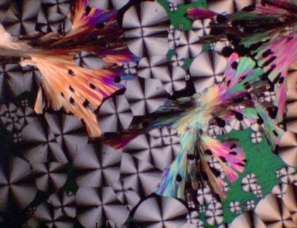 Film still of crystalline forms