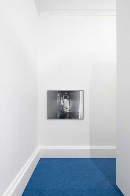Installation views, Art Now: Joanna Piotrowska All Our False Devices 2019. Photo © Tate (Matt Greenwood)