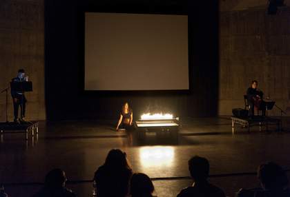 Aura Satz, In and Out of Synch 2012