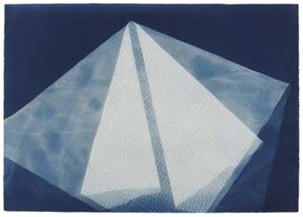 Barbara Kasten, Photogenic Painting, Untitled 74/13, 1974, cyanotype photogram, 76.2 x 101.6 cm - © Barbara Kasten, courtesy the artist, Thomas Dane Gallery, London and Bortolami, New York