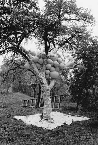 Maria Bartuszová's Tree 1987, consisting of a plum tree, plaster, string, plastic, foil and paper, in the artist's garden in Košice, Slovakia