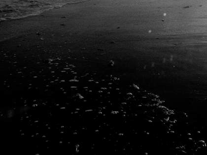 Beatriz Santiago Muñoz, Black Beach/Horse/Camp/The Dead/Forces 2016, video still. Courtesy the artist and Galería Agustina Ferreyra