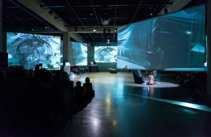 Charles Atlas with Cecilia Bengolea and François Chaignaud, Performance as part of Charles Atlas and Collaborators, 2013