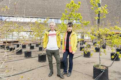 Ackroyd & Harvey, Beuys’ Acorns, 2021. (c) Tate Photography (Seraphina Neville)