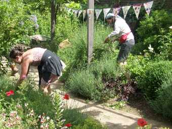 people working on a garden