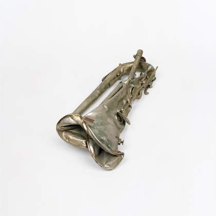 Photograph of a damaged klappenhorn