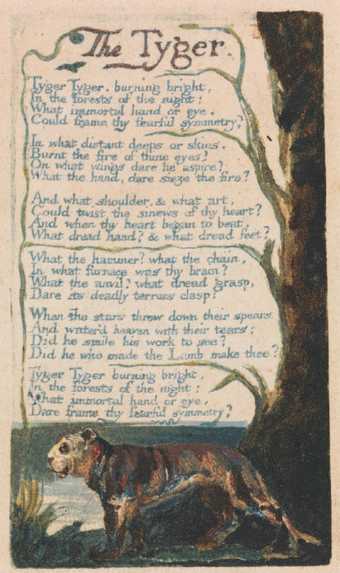 William Blake Songs of Experience, The Tyger