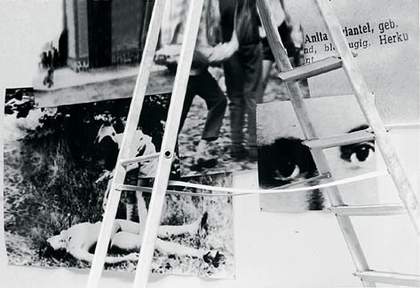 Chrisitan Boltanski, ladder and works on wall