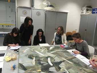 Dr Bronwyn Ormsby (standing second left), Principal Conservation Scientist at Tate, conducting a modern paints surface cleaning workshop for Cleaning Modern Oil Paints (CMOP) partners and colleagues at RCE Amsterdam, April 2017